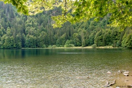 Feldberg Lake