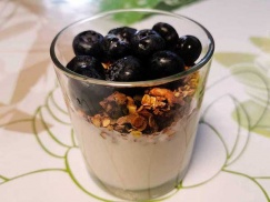 Granola with yogurt and blueberry