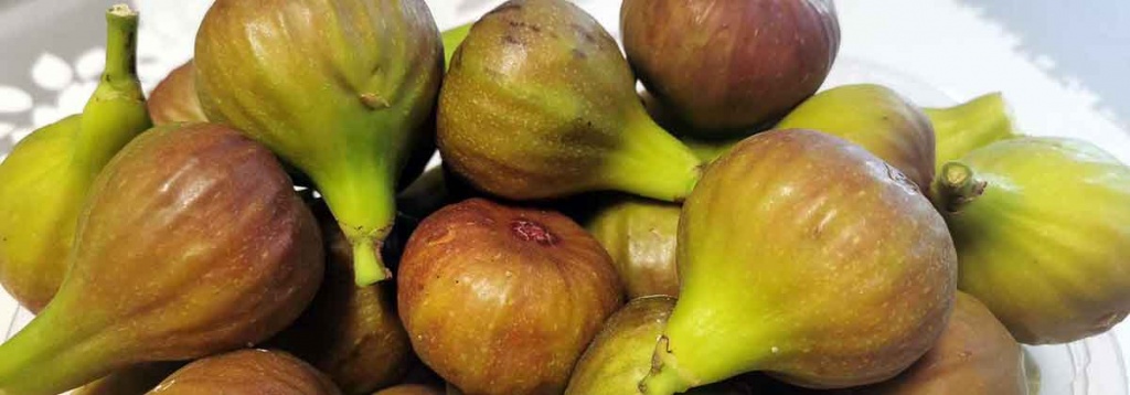 Recipes with figs
